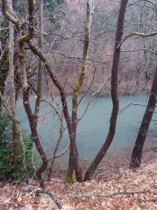 img_3093