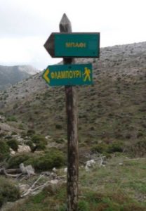 MPAFI