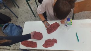 20241213_103958 (1)